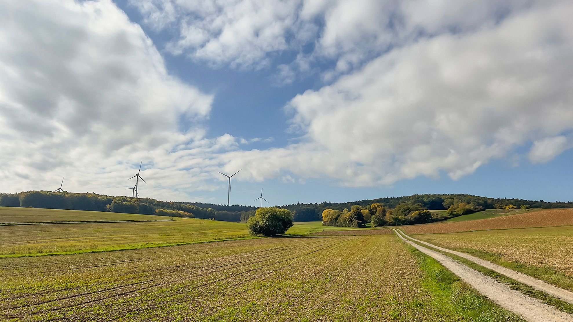 Wind turbines on farmland in the Tauber valley