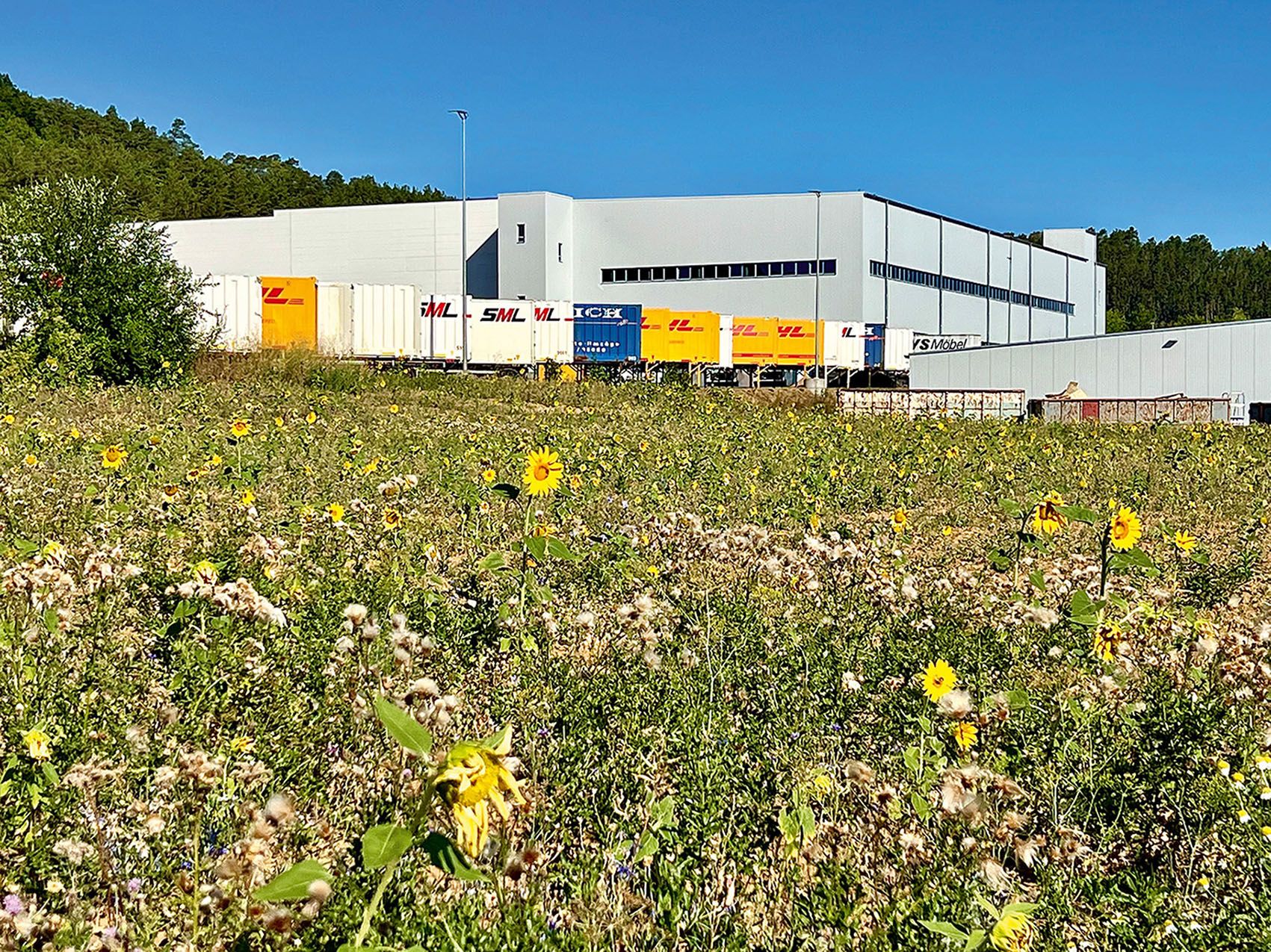 Une prairie fleurie riche en espèces près de l'usine 7 soutient la biodiversité sur le site de l'entreprise.