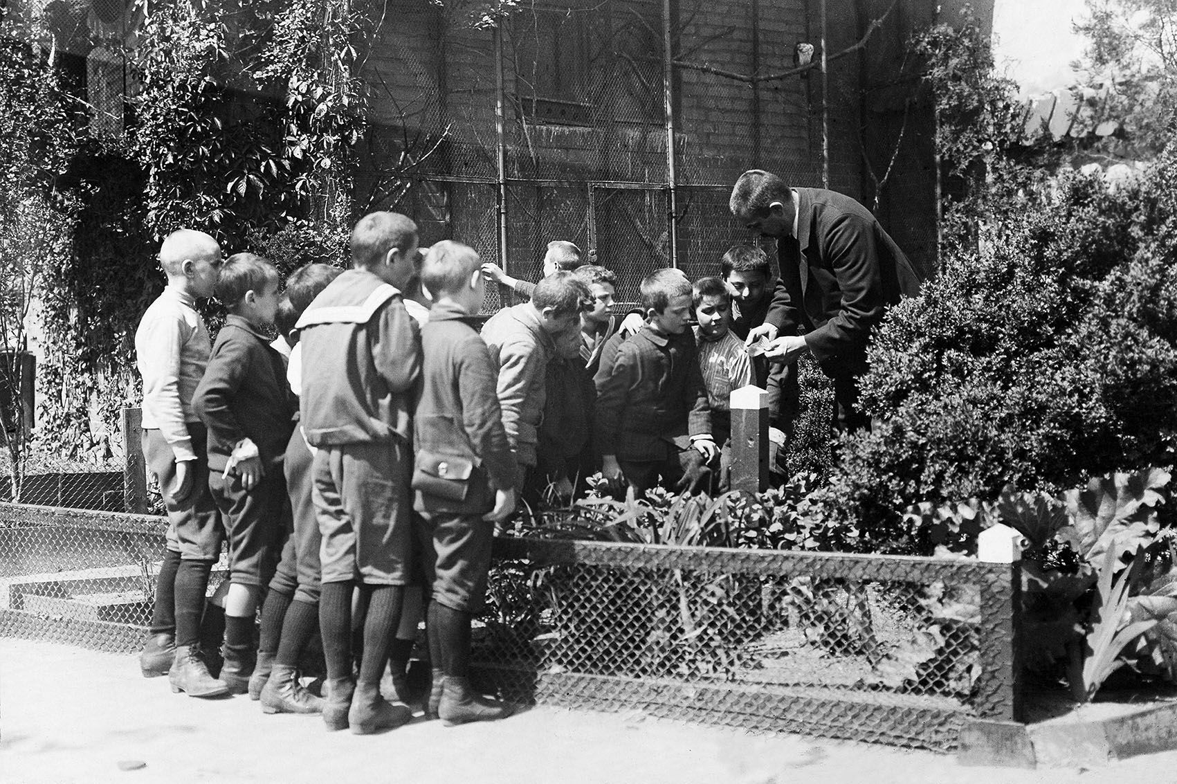 Black-and-white picture from 1912 of pupils at a Berlin school during an outdoor botany lesson