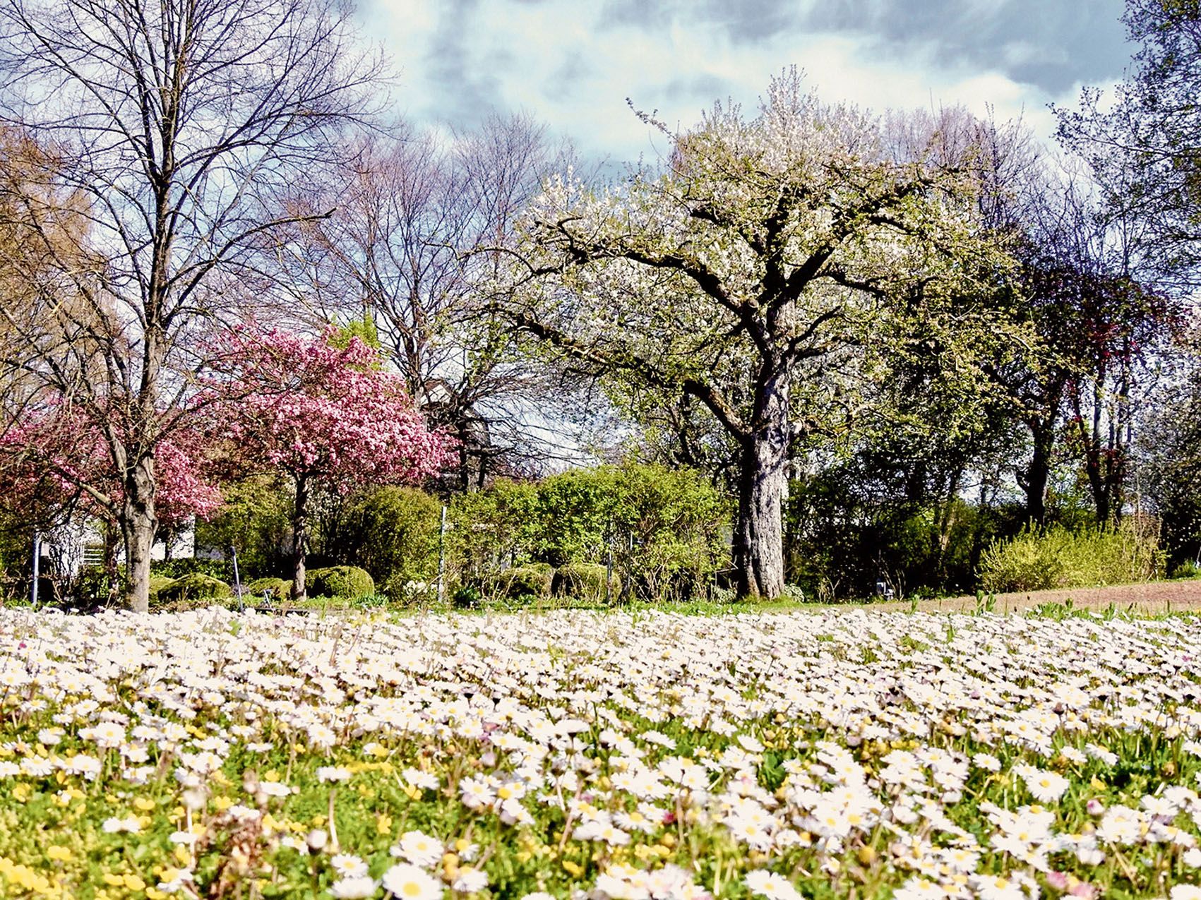 The company's own vegetable garden promotes biodiversity with a surrounding flower meadow.