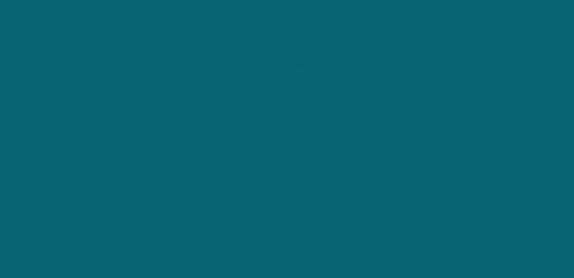 C041 turquoise ( ≈ RAL 210 40 20 ). 