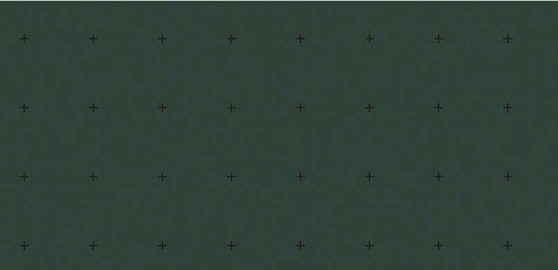 E010 reen grid 10cm.