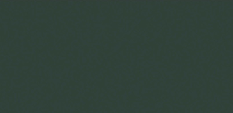E019 grün. 