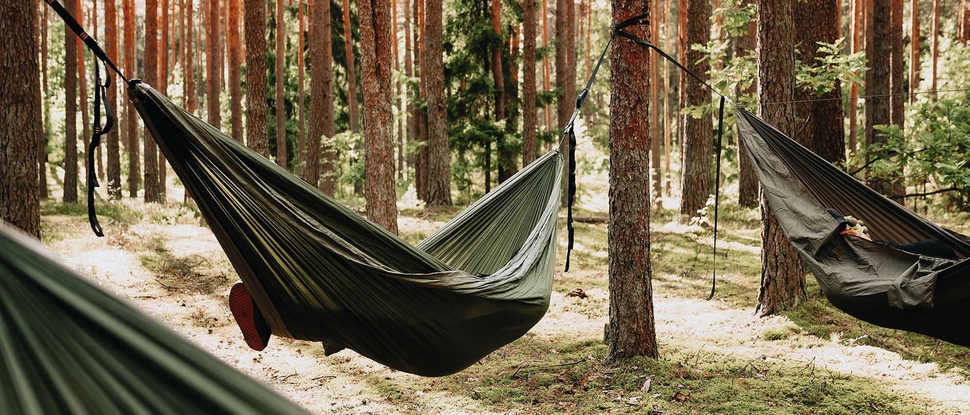 Mehrere Hängematten hängen zwischen Bäumen in einem Wald